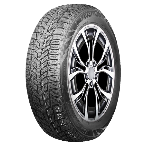 Autogreen Snow Chaser 2 AW08 205/55 R16 91 H