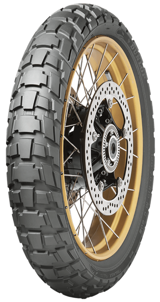 Dunlop Trailmax Raid 110/80 R19 59 T Avant TL M+S