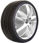 Fortune FSR701 205/55 R17 95 W