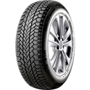 Giti Winter W1 225/45 R17 91 H