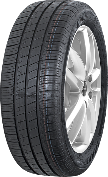 Goodyear Efficientgrip Performance 205/55 R16 91 H