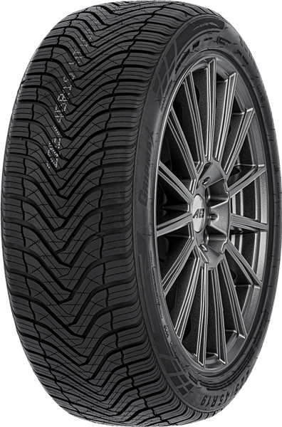 GRIPMAX SureGrip AS 255/50 R19 107 W ZR