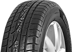 Hankook Icebear W 310