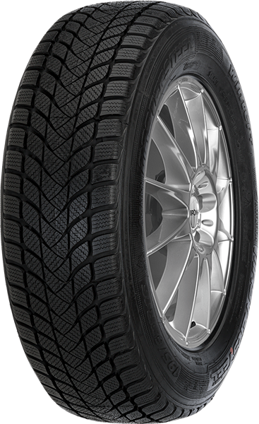 Mastersteel WINTER + 225/55 R17 97 H