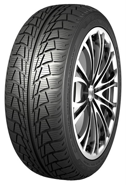 Nankang Snow Viva 205/50 R17 93 T Soft Compound