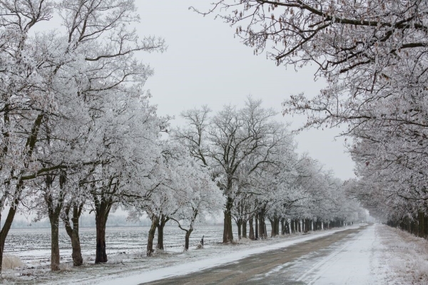 Achetez de préférence les pneus toutes saisons avec l’homologation pour l'hiver. Achetez de préférence les pneus toutes saisons avec l’homologation pour l'hiver.