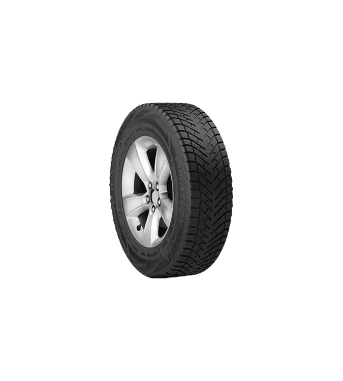 Duraturn Mozzo Winter 195/65 R15 91 T