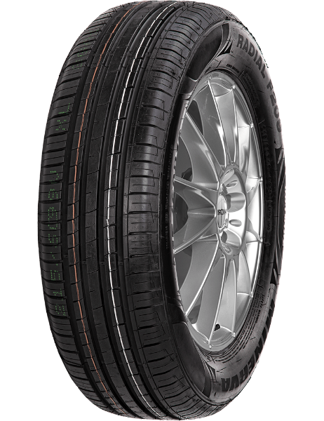 Minerva F209 205/55 R16 91 H