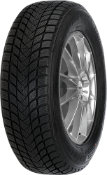 Gros plan de la bande de roulement Mastersteel WINTER + 245/45 R18 100 H XL