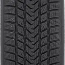 GRIPMAX SureGrip ProWinter 275/30 R19 96 V XL - Miniature de la photo 2