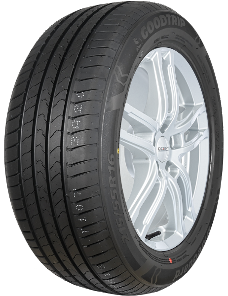 Goodtrip BlueGuard 205/55 R16 91 V