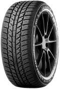 Gros plan de la bande de roulement Evergreen EW62 205/60 R16 96 H XL