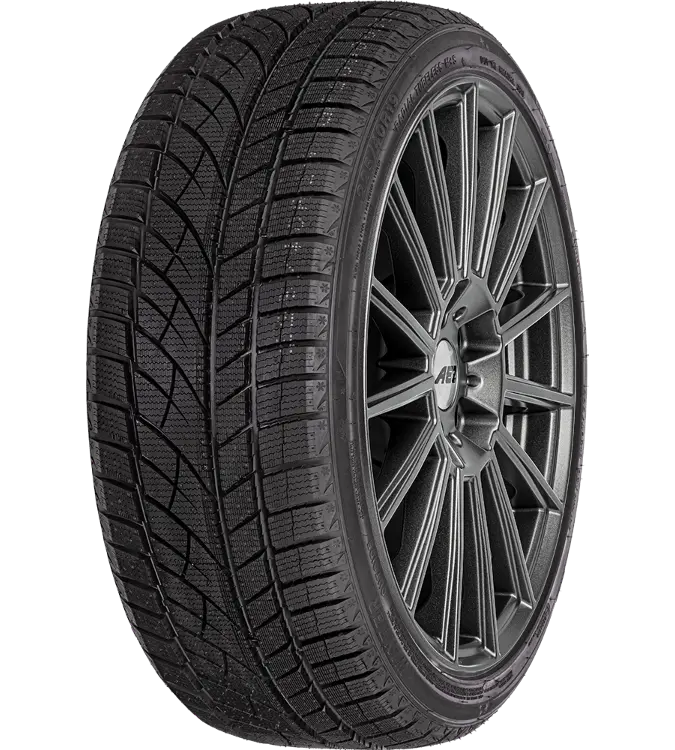 Evergreen EW66 195/65 R15 95 T XL